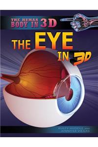 The Eye in 3D