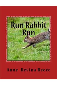 RUN RABBIT RUN by ANNE DEVINA REEVE