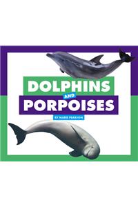 Dolphins and Porpoises