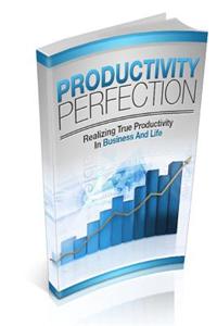 Productivity Perfection