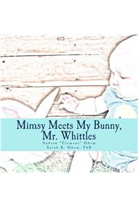 Mimsy Meets My Bunny, Mr. Whittle