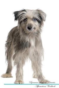 Pyrenean Shepherd Affirmations Workbook Pyrenean Shepherd Presents: Positive and Loving Affirmations Workbook. Includes: Mentoring Questions, Guidance, Supporting You.
