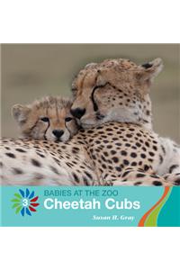 Cheetah Cubs