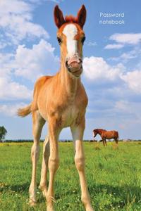 Password Notebook: Large Internet Address and Password Logbook / Journal / Diary - Cute Foal Cover