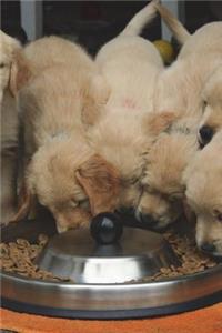 It's Feeding Time for the Golden Retriever Puppies Journal
