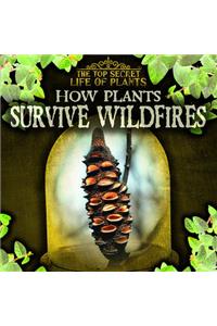 How Plants Survive Wildfires