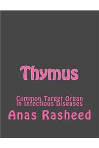 Thymus