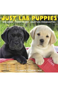 Just Lab Puppies 2020 Wall Calendar (Dog Breed Calendar)