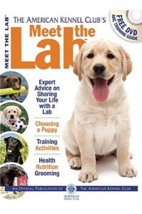 Meet the Lab