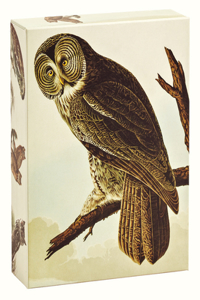 Audubon Owls