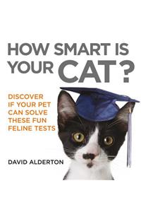 How Smart Is Your Cat?