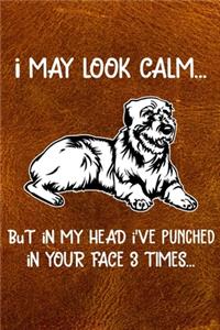 I May Look Calm But In My Head I've Punched In Your Face 3 Times