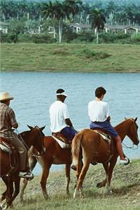 2020 Daily Planner Horse Photo Equine Tropical Trail Ride 388 Pages