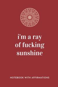 I'm A Ray Of Fucking Sunshine