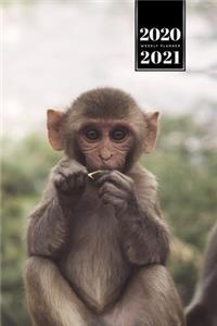 Monkey Ape Week Planner Weekly Organizer Calendar 2020 / 2021 - Breakfast for Little One
