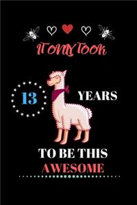 It Only Took 13 Years to be this Awesome