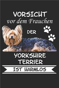 Vorsicht vor dem Frauchen der Yorkshire Terrier ist Harmlos