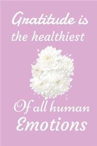 Gratitude Is the Healthiest of All Human Emotions