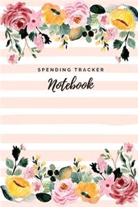 Spending Tracker Notebook
