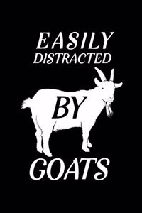 Easily Distracted by Goats