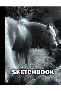 Sketchbook