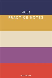 Mule Practice Notes