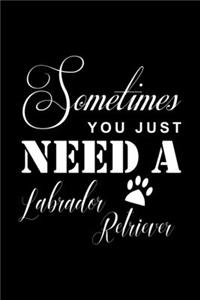 Sometimes You just need a Labrador Retriever