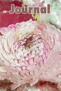 Journal