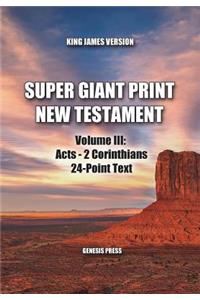 Super Giant Print New Testament, Volume III