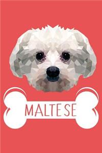 Maltese