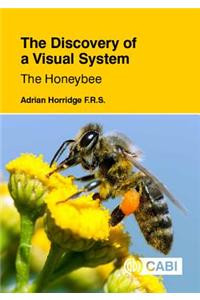 Discovery of a Visual System - The Honeybee