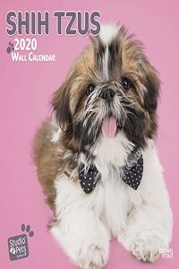 SHIH TZUS 2020 SQUARE WALL CALENDAR STUD