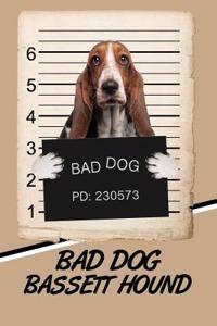 Bad Dog Bassett Hound