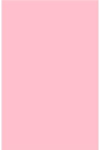 Notizbuch Rosa