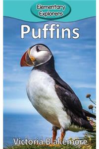 Puffins