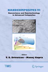 Nanocomposites VI: Nanoscience and Nanotechnology in Advanced Composites