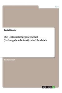 Unternehmergesellschaft (haftungsbeschränkt) - ein Überblick