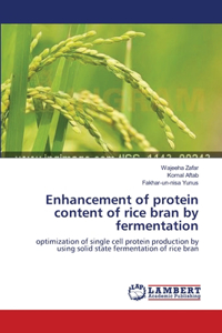 Enhancement of protein content of rice bran by fermentation