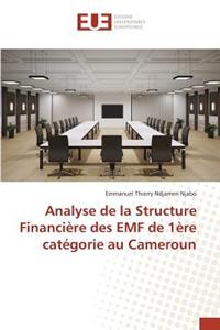 Analyse de la Structure Financière Des Emf de 1ère Catégorie Au Cameroun