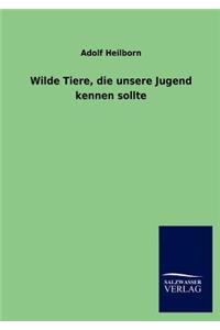 Wilde Tiere, die unsere Jugend kennen sollte