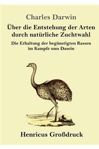 Über die Entstehung der Arten durch natürliche Zuchtwahl (Großdruck)