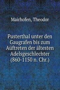 Pusterthal unter den Gaugrafen bis zum Auftreten der altesten Adelsgeschlechter (860-1150 n. Chr.)