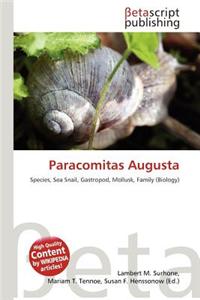 Paracomitas Augusta