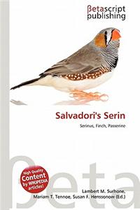 Salvadori's Serin