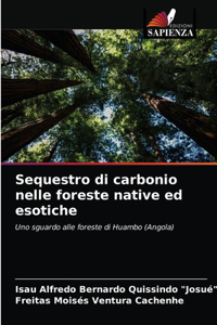 Sequestro di carbonio nelle foreste native ed esotiche