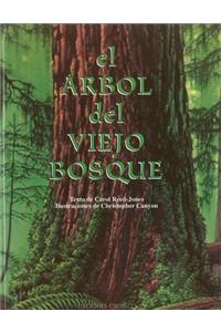 El Arbol del Viejo Bosque