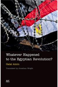 Whatever Happened to the Egyptian Revolution?