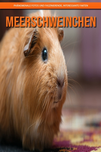 Meerschweinchen