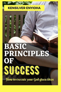 Basic Principles of Success