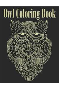Owl Coloring Book